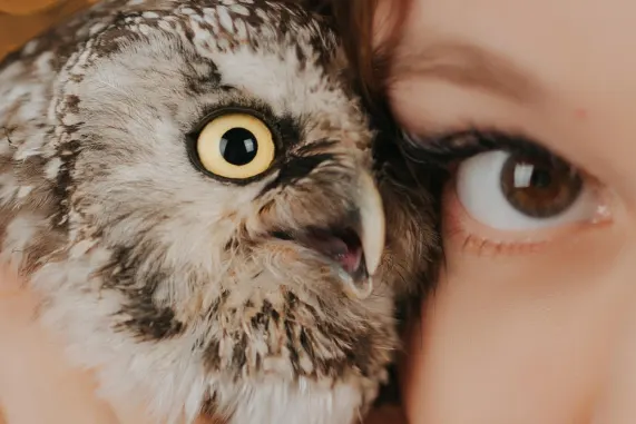 Tusk Kasyno Wsparcie